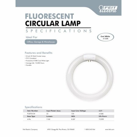 Fiet Electric Bulb-Circ Fc8T9Cw FC8T9/CW